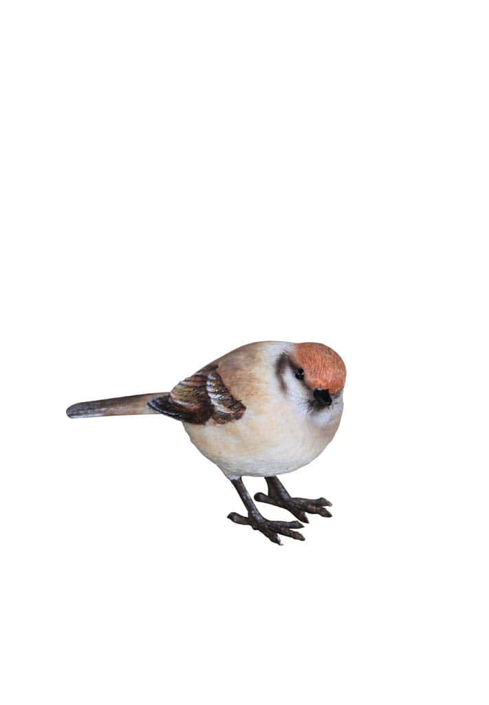 ציפור דקורטיבית שרף